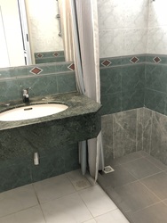Tiara (D9), Condominium #177911802
